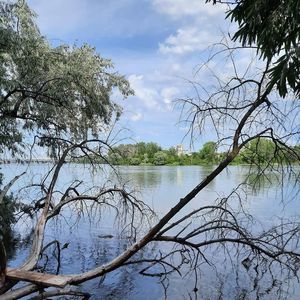 Meet your Posher, Walter